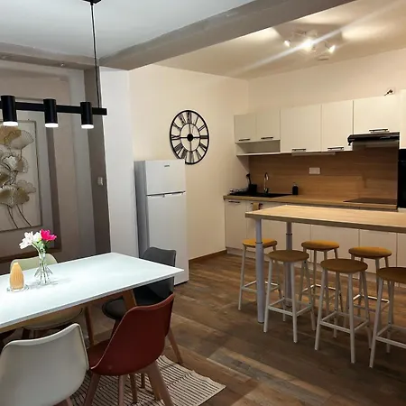 L'ecrin Lourdais-rue De La Grotte Apartment
